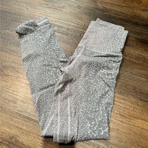 Gently used size 4 aligns